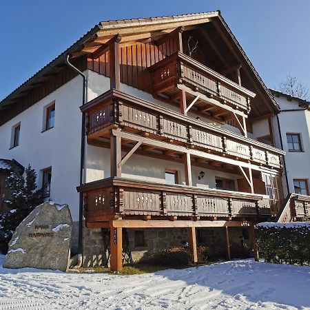 Haus Haidweg - Ferienwohnungen In Haidmuehle Im Dreilaendereck De-Cz-At Экстерьер фото