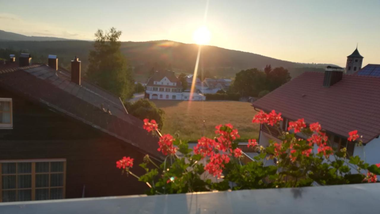 Haus Haidweg - Ferienwohnungen In Haidmuehle Im Dreilaendereck De-Cz-At Экстерьер фото