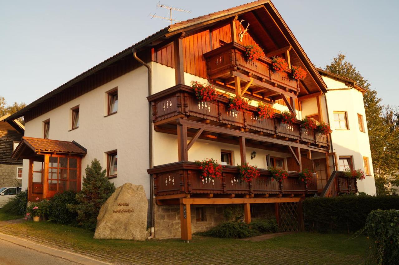 Haus Haidweg - Ferienwohnungen In Haidmuehle Im Dreilaendereck De-Cz-At Экстерьер фото